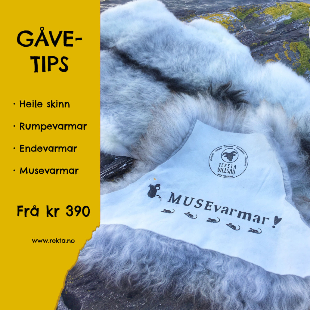 Gavetips Reksta Villsau